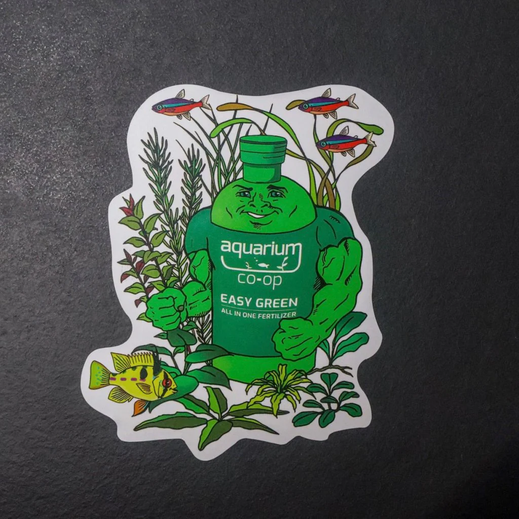 Merch